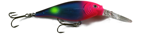 Warrior Lures - Pro Bead Box