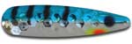 Warrior Lures 072 Blue Perch trolling / fishing spoons.  Muskee, Salmon, Lake Trout, Steelhead trolling / fishing spoons.