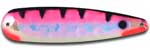 Warrior Lures 166N Pink Alewife trolling / fishing spoons.  Muskee, Salmon, Lake Trout, Steelhead trolling / fishing spoons.