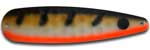 Warrior Lures 213 Chicken Wing Hot Glow trolling / fishing spoons. Hot Glow Muskee, Salmon, Lake Trout, Steelhead trolling / fishing spoons. Glow for 3 hours!