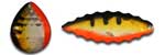 05 - Chicken Wing Warrior Lures fishing harness
