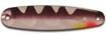 Warrior Lures LW001 Purple Perch Little Warrior fishing spoons. Bass and Walleye fishing spoons.