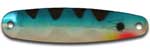 Warrior Lures LW002 Blue Perch Little Warrior fishing spoons. Bass and Walleye fishing spoons.