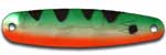Warrior Lures LW003 Orange Belly Perch Little Warrior fishing spoons.  Bass and Walleye fishing spoons.