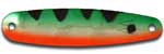 Warrior Lures LW003 Orange Belly Perch Little Warrior fishing spoons. Bass and Walleye fishing spoons.