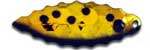 Warrior Lures 113 Golden Shad Willow Leaf fishing blades. Bass and Walleye fishing blades.