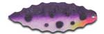 Warrior Lures 063 Purple Huckleberry Willow Leaf fishing blades.  Bass and Walleye fishing blades.