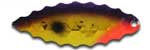 Warrior Lures 069 Purple Crusher Willow Leaf fishing blades.  Bass and Walleye fishing blades.