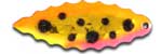 Warrior Lures 070 Britney Pox Willow Leaf fishing blades. Bass and Walleye fishing blades.