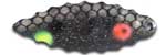 Warrior Lures 072 Black Mamba Willow Leaf fishing blades. Bass and Walleye fishing blades.
