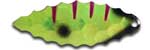 Warrior Lures 080 Half Hard Willow Leaf fishing blades. Bass and Walleye fishing blades.