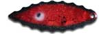 Warrior Lures 097 Red Dawn Willow Leaf fishing blades. Bass and Walleye fishing blades.