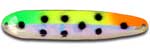 Warrior Lures XL 322N Spotted Sunrise Flutter fishing spoons. Salmon, SteelHead and Walleye fishing spoons.